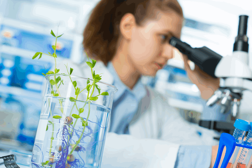 Laboratorio avanzado